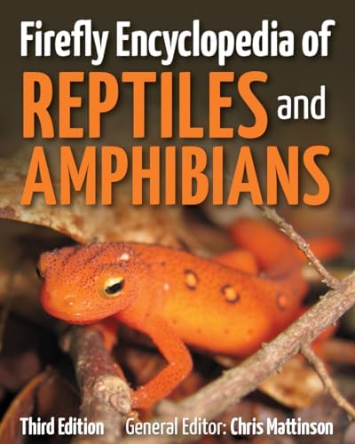 Amazon.com: The Wild Lives of Reptiles and Amphibians: A Young