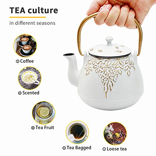 TOPTIER Japanese Cast Iron Tea Kettle with Infuser,Teapot Stovetop Safe
