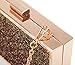 Yuenjoy Women's Bling Shiny Glitter Sequins Clip Clasp Evening Bag Clutch Crossbody Purse (Glod)