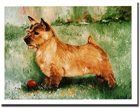 Norwich Terrier Profile Notecards