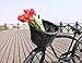 Colorbasket 01327 Adult Front Handlebar Bike Basket, All-Weather, Water Resistant, Adjustable Leather Straps, Black