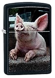 Zippo Pig Dreaming Pocket Lighter, black Matte