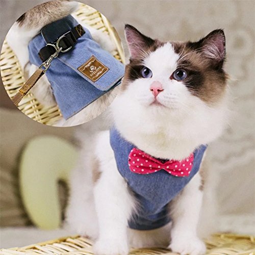 cat jeans jacket harness vest with matching lead leash set