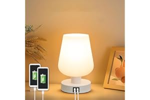 EJFOIEJ Cordless Metal Desk Lamp,Portable Touch Sensor LED Table Lamp,Dual USB Charging Ports,3 Color Stepless Dimmable Battery Powered Lamp,Night Light for Kids Nursery,Bedroom/Desk/Cafe(White)