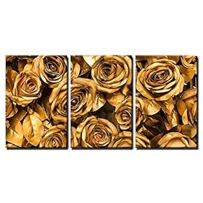 3 Piece Canvas Wall Art - Golden Fabric Roses Background - Modern Home Art Stretched and Framed Ready to Hang - 16"x24"x3 Panels
