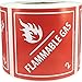 Hazard Class 2 D.O.T. Flammable Gas Labels 4x4 Inch Square 500 Adhesive Labels