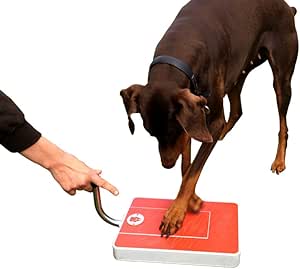 Amazon.com: Digger Dog Nail File Stress Free Alternative to Dog Nail