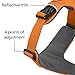 Ruffwear, Front Range Dog Harness, Reflective Soft Padded Everyday Harness with Dual Leash Clips, Adjustable and Lightweight Fit for Training or Walking for All Dogs, Orange Poppy, Large/X-Large