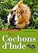 Les Cochons d'Inde by