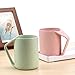 Aestar Multicolor Biodegradable Unbreakable Wheat Straw Water Cup Tumblers 13.5oz Set of 2 for Coffee, Tea, Water, Milk, Juice … (XL)