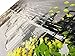 Winpeak Hand Painted Black and White Cityscape 3D Oil Painting on Canvas with Green Yellow Tree Wall Art City Artwork