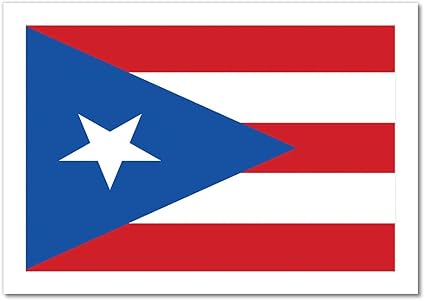 Amazon Com Puerto Rican Flag Artwork Art Print 24 Gallery
