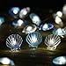 Nautical Beach Decor led String Lights Battery Under The sea Coastal Ocean Theme Navy Fish net Decorations for Room Bedroom Bathroom Table Centerpieces Tropical sea Shells Starfish Seahorse Conch