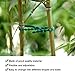 WILLBOND 200 Pieces Adjustable Plant Ties Flexible Garden Plant Ties, Green Multi-Function Sturdy Garden Plant Twist Tie Plastic Garden Ties Plant Support Tree Shrub (13 and 23 cm, Cable Tie)thumb 3