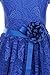 Cap Sleeve V Neck Flower Border Stretch Lace Corsage Belt Flower Girl Dress