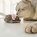 Interactive Dog Toys for Large/Medium/Small dogs,Stimulating Flopping Fish Dog Toy for Puppy,Tough Squeaky Plush Shark Dog Toys,Motion Activated,Rechargeable (Electric Fish Toys) (Robotic Ball Toy)