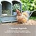 Grubblies - Chicken Feed Supplement with 50x Calcium, Black Soldier Fly Larvae Chicken Snack, Natural Grubs for Chickens, Hens, Grown in The USA & CA, Love Tub