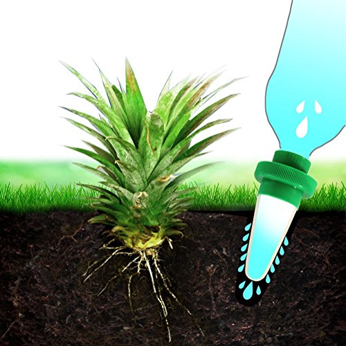 RIOGOO Vacation Plant Waterer, 8 Pack Ceramic Plant Automatic Water Infiltration Device Self Watering Spikes for Indoor&Outdoor - Thumbnail 4