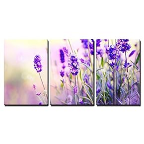 3 Piece Canvas Wall Art - Lavender Field - Modern Home Art Stretched and Framed Ready to Hang - 16"x24"x3 Panels