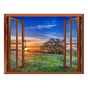 Sunrise on a Springfield Removable Wall Sticker/Wall Mural - 24"x32"