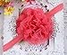 niceeshop(TM) 10 Pieces Baby Girls Cute Flower Chiffon Headband Hair Accessories
