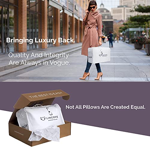 Lincove Recreation Sleeping Pillow Filled with Imported Premium Goose