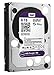 WD Purple NV 6TB Surveillance Hard Disk Drive - Intellipower SATA 6 Gb/s 64MB Cache 3.5 Inch - WD6NPURX
