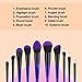 Stellaire Chern Makeup Brush Set, 10 Pcs Premium Synthetic Cosmetic Brushes, Foundation Blending Blush Powder Eye Shadow Make Up Brushes Kit - Purple & Black