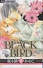 BLACK BIRD 第16巻