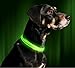 Illumiseen LED Dog Collar USB Rechargeable - Bright & High Visibility Lighted Glow Collar for Pet Night Walking - Weatherproof, in 6 Colors & 6 Sizes (Green X-Large)