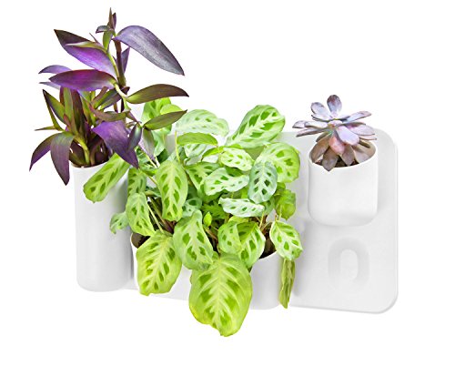 Urbio Happy Family Wall Planters