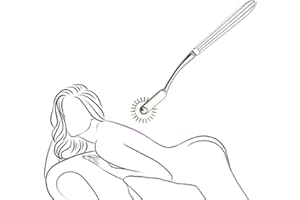 BDSM Toys Adult Sex Toys for Couples, Stainless Steel Gear Roller Massage Sex Tools for Foreplay Sex Games, Women Nipple Clit