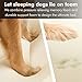 Chester Small Dog Bed - Orthopedic Memory Foam Mattress, Calming Couch, Wall Rim Pillow, Water Resistant, Washable Cover, Non-Slip, Cocoa Brown