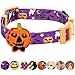 Blueberry Pet Halloween Darkness Deserted Castle Designer Adjustable Dog Collar with Decoration, Large, Neck 18