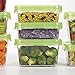 OXO Good Grips 20-Piece LockTop Container Set with Green Lids