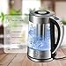 Soing Electric Kettle Pro,1.8L Glass Water & Tea Cordless Boiler,Variable Temperature Control & 24 Hours Keep-Warm Function,Detachable Tea Filter,Blue LED Indicator Light,Auto Shut-Off & Advanced Boil-Dry Protection,100% Food-Grade Stainless Steel,1500W Fast Heating