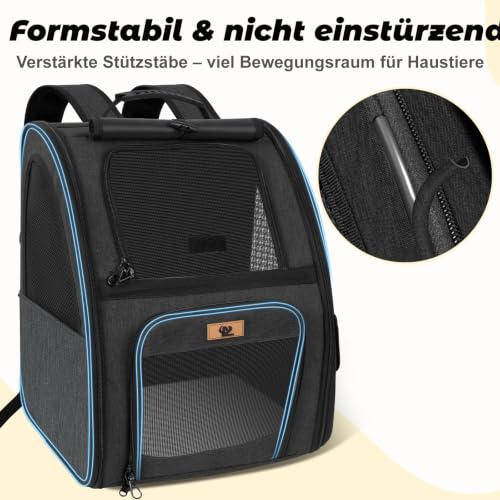 Aystkniet Cat Backpack & Dog Backpack up to 6 kg, Large Pet Transport Bag with 270° Ventilation, 3 Openings, Foldable, Breathable for Travel, Hiking, Plane & Veterinarian
