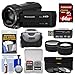 Panasonic HC-V770 Wireless Smartphone Twin Recording Wi-Fi HD Video Camera Camcorder with 64GB Card + Case + 3 Filters + Tele/Wide Lens Kit
