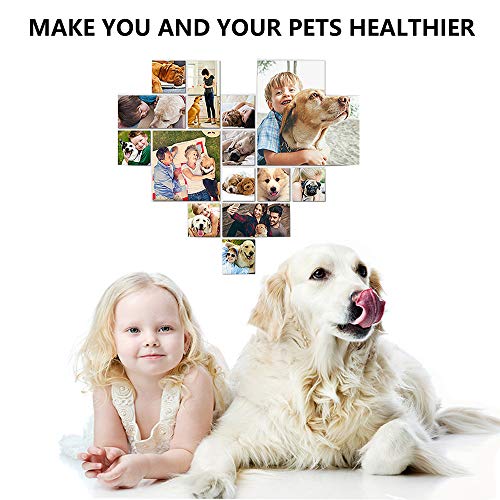 Puppycute 2 Pack Pet Toothbrush and Toothpaste for Dogs & Cats, Best Soft Silicone Pet Finger Toothbrush for Small Dogs Puppy Doggy, Dog Toothpaste Beef Flavor - Thumbnail 5