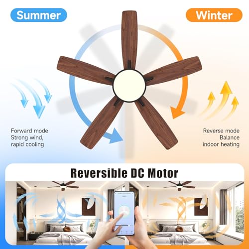 Roomratv Ventilador de techo inteligente de 52 pulgadas con luz regulable, silencioso, reversible, motor de CC, control remoto compatible con Alexa Google Home