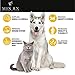 (2 Pack | 1000mg) Hemp Oil for Dogs Cats Pets, Organic Calming Dog Treats for Separation Anxiety Pain Relief - Natural Hemp Extract Stress Sleep Aid - Zero THC CBD Cannabidiol - Joint Hip Supplements