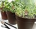 Herb Stakes 06in 12/Set Metalgraph Acrylic Oval Top Brushed Copper