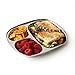 Ecolunchbox Stainless Steel Divided Dinner Tray Small (1)