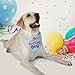 JOYLOADER Dog Birthday Bandana Boy - Dog Birthday Party Supplies - Birthday Boy Dog Bandana - Ideal Birthday Gift Idea for Pet
