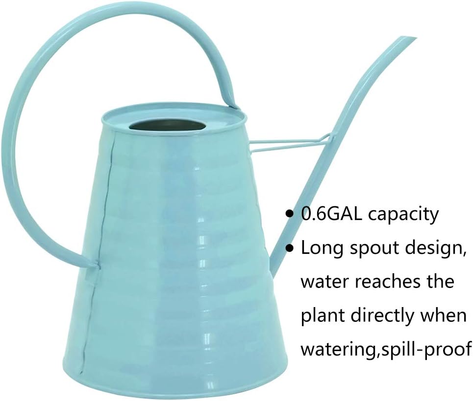 HORTICAN Galvanized Watering Can Modern Style Watering Pot with Handle for Outdoor and Indoor House Plants (0.6 gal/Light Blue) : Garden & Outdoor