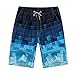 Men's Quick Dry Boardshorts Bathing Suits Swimming Trunks Island Beach Shorts
