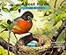 About Birds: A Guide for Children (Educational Science Book for STEM Learning)
