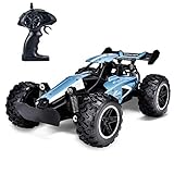 Rainbrace RC Racing Car Remote Control Car High Speed RC Car Rechargeable Radio Controlled Car RC Race Car for Boy Toys 5-16 Years Old Boys Kids Birthday Gift