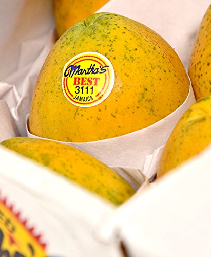 Martha's Best Papaya (Set of 12)