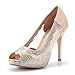 DREAM PAIRS Women's Divine-01 High Heels Dress Pump Shoes
